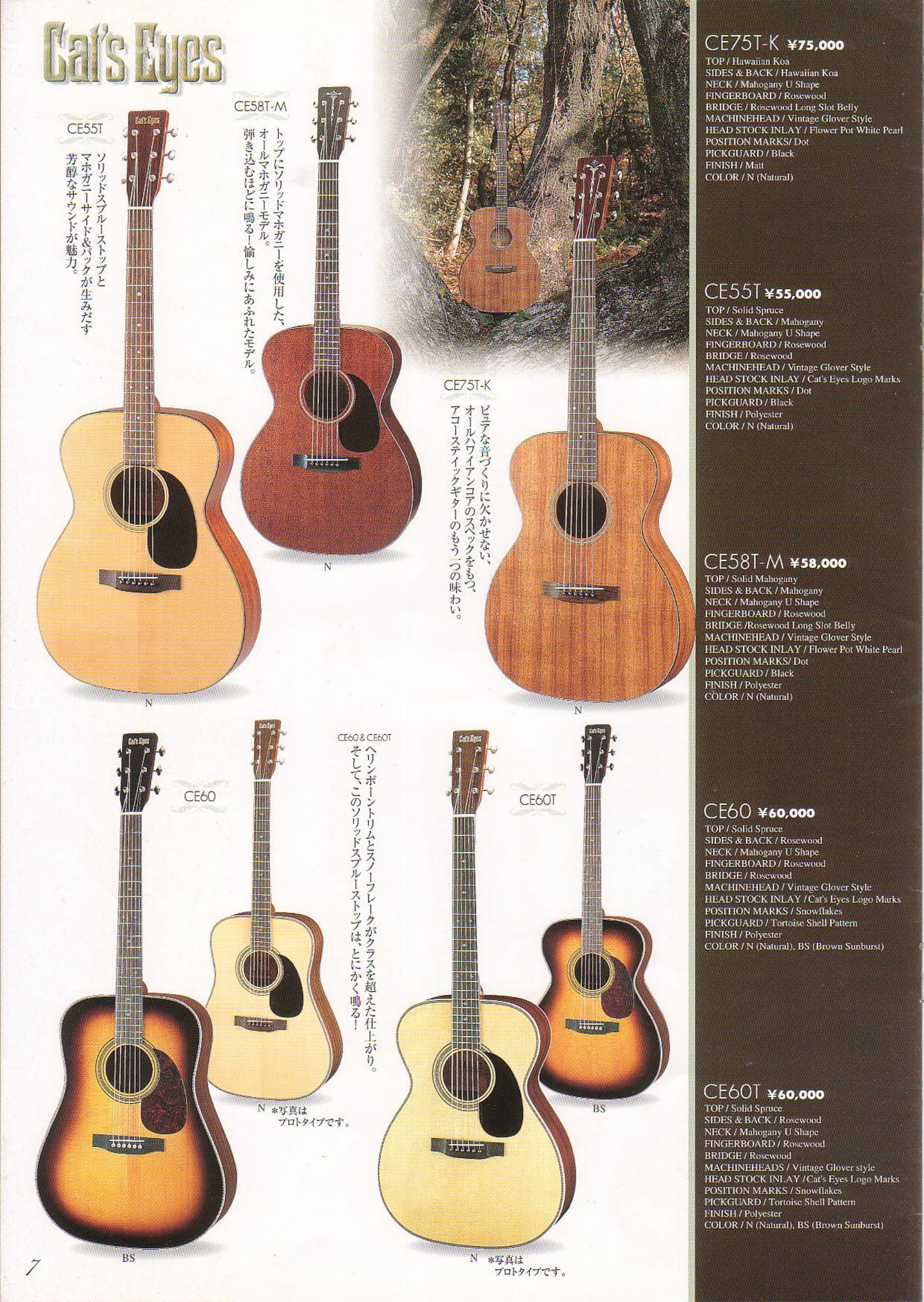 2001年vol.7 TOKAIアコースティックギター（Cat's Eyes）カタログ - ビンテージギターカタログ